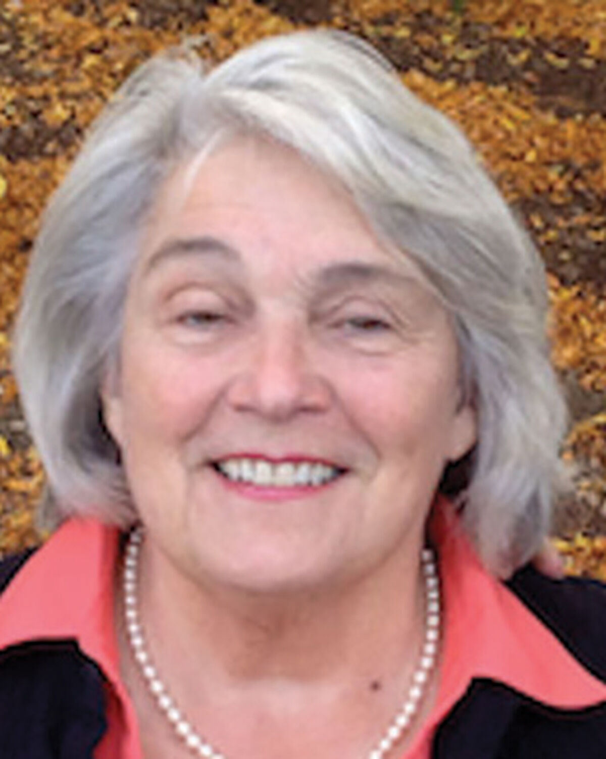 Sen. Ginny Lyons